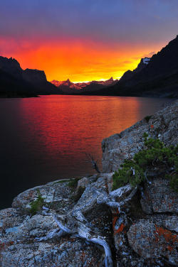 sublim-ature:  Fire In The Sky by Bernard