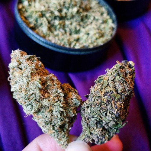 bakedlilbae:  orange crush and grape stomper 🍊🍇👊 (lol so much fruit mashing?)