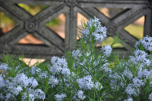 untermyergardens