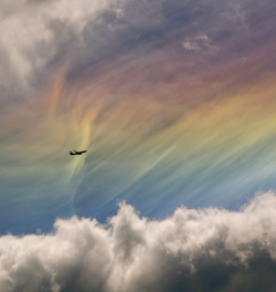 sci-universe:  A circumhorizontal arc, often called a fire rainbow, is an optical phenomenon in which an ice halo forms by hexagonal, plate-shaped ice crystals in high level cirrus clouds. The halo is so large that the arc appears parallel to the horizon,