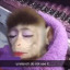 amireanna