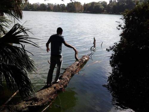 enviro-mentalist:  Me, 21. Life in the swamp of Florida. 4 years ago.