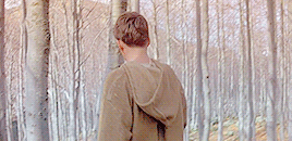 saintalia:Do you know that hawks and wolves mate for life?Ladyhawke (1985) dir. Richard Donner
