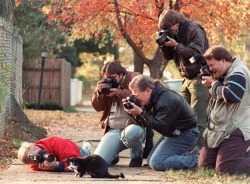 isabubbles:Socks, Bill Clinton’s cat, being hounded by the paparazzi