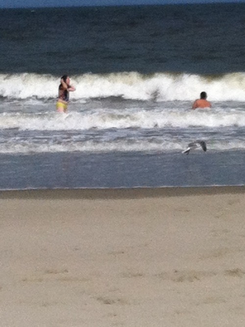 Fun At The Beach!