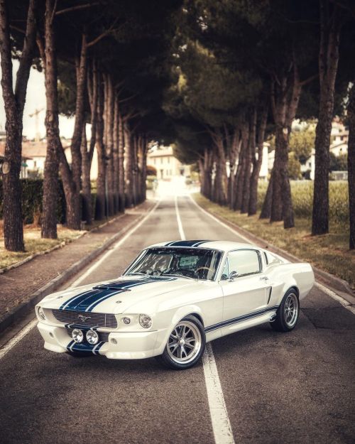 utwo:  Foed Mustang Fastback© Mattia Negrini