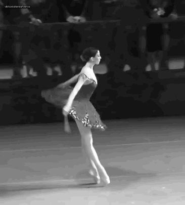iwontdancenetwork:“Freedom to a dancer means discipline. That is what technique
