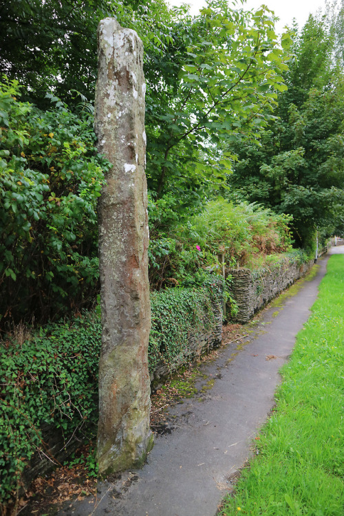 Trefllys Standing Stone, Pentrefelin, nr. Porthmadog, North Wales, 28.8.18.Hidden in plain site righ