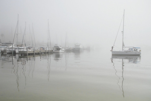 wrapped in fog and silence…St.Pete bay