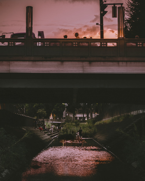  Summer Mood_______________LocationThe Izumi River Jizohara water’s edge‍♂️How to get toRight 