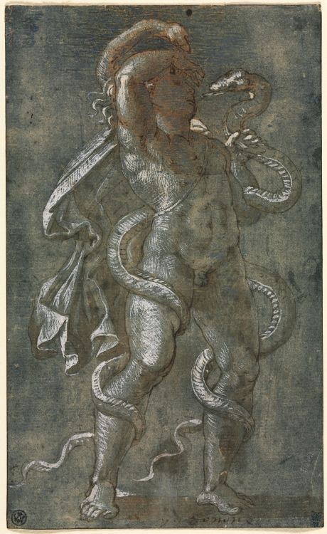 beyond-the-pale:   Man Entwined by Two Snakes,
