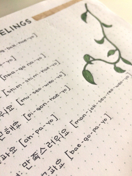 I like to focus on Korean during the summer. Here are some of my notes on feelings! 