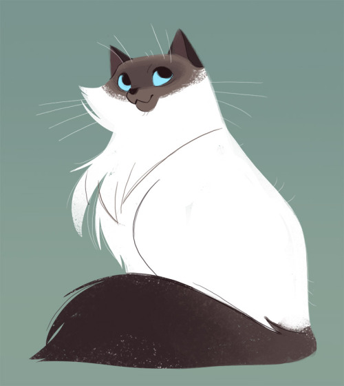 dailycatdrawings:522: Floofy Cat