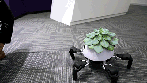 solarpunk-aesthetic:This adorable little robot is designed to make sure its photosynthesising passen