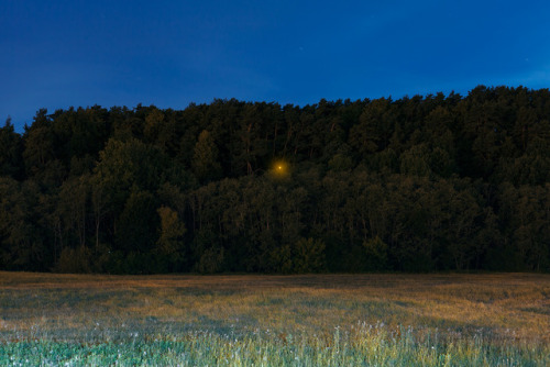 nevver:  Something in the night, Simas Lin