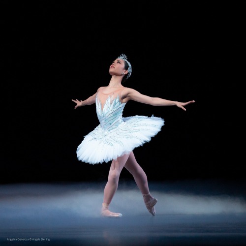 angelica generosa photographed performing as odette in swan lake by angela sterling