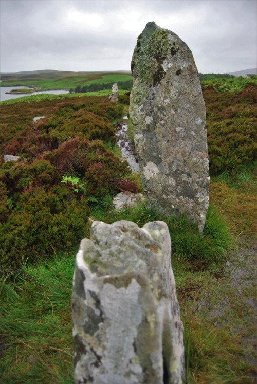 Phobull Fhinn with its beautiful heather moorland, North Uist, Western Isles - this stone circle sta
