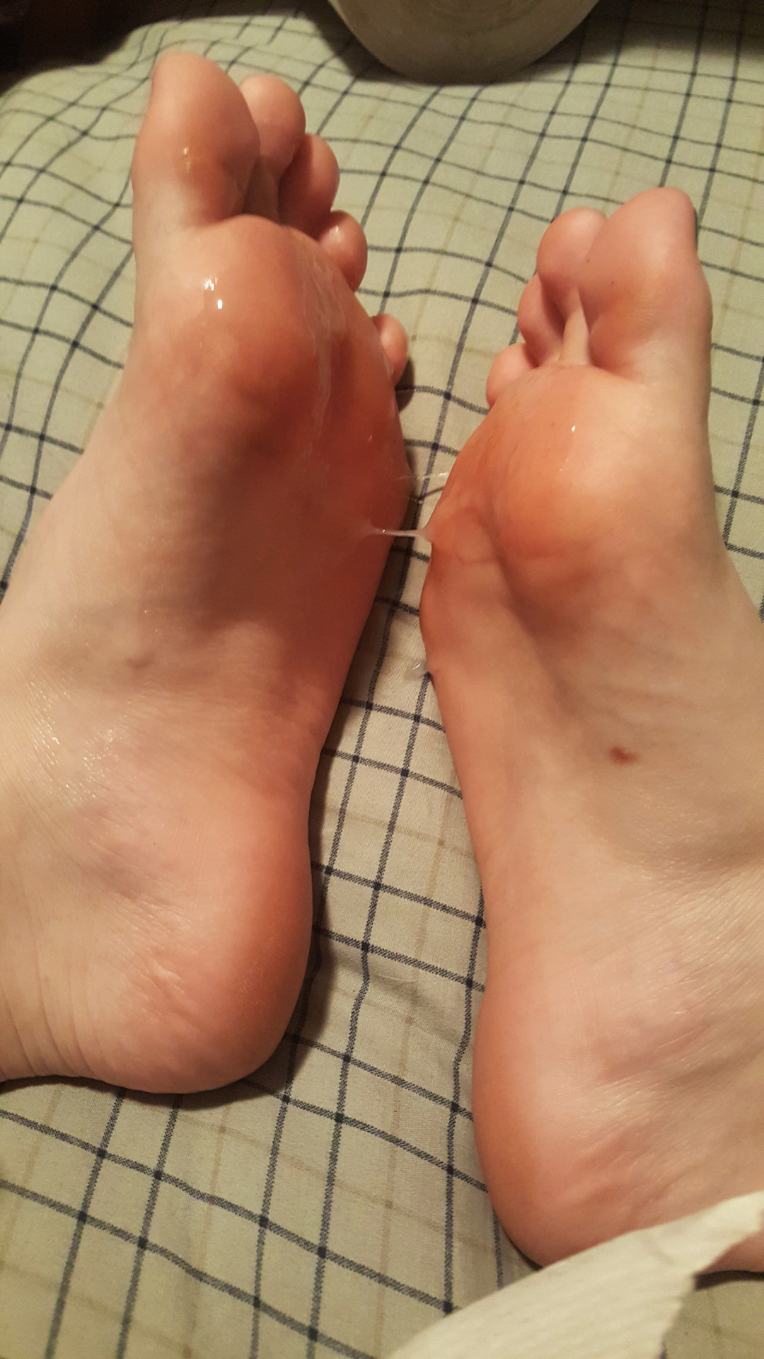 dawnoftheped:  Welp, had to snap these with my phone because I couldn’t exactly
