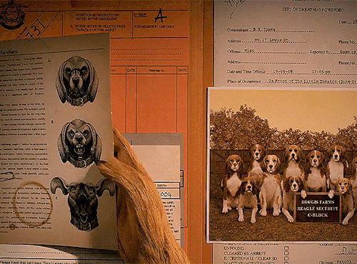 robotpattinson:Honey, I am seven fox years old. My father died at seven and a  half. I don’t want to live in a hole anymore, and I’m going to do  something about it.FANTASTIC MR. FOX (2009) Dir. Wes Anderson