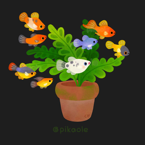 pikaole: Fresh water fish and plants [ Patreon / twitter / insta / shop / print / teepublic / LINE / Galaxy / iMessage ] 