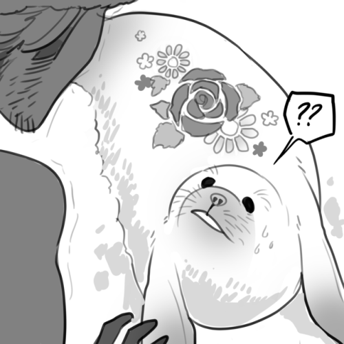 badassindistress:japhers:Do not let your human mates try out your selkie coats unless you are fully 