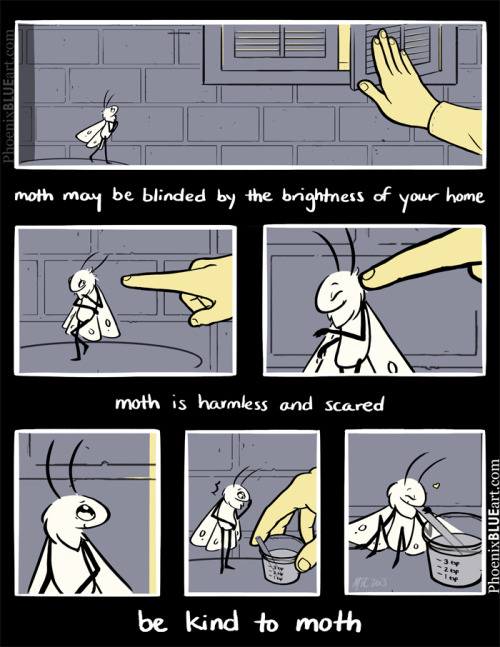 phoenixblueart:  Be Kind to Moth A short comic based on this post that’s been going around. 