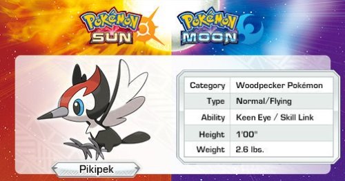 New Pokémon Pikipek It is Normal/Flying-type. Its abilities are Keen Eye and Skill Link Pikip