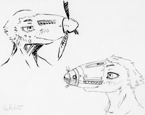 2. And 3.11.2017 Some Propeller Faces And Sable Lookalikes. Keep Loose Objects Away From The Nose.