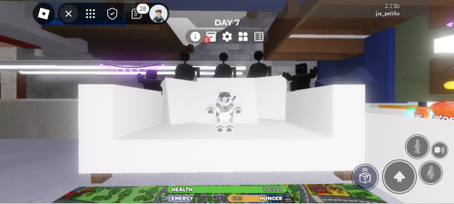 Thank You For Playing Roblox With Me Bookiee BeaAr