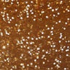 Glitter