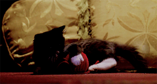 prentissjareaus:Restless (4x22)  | The Slayer does not walk in this world.