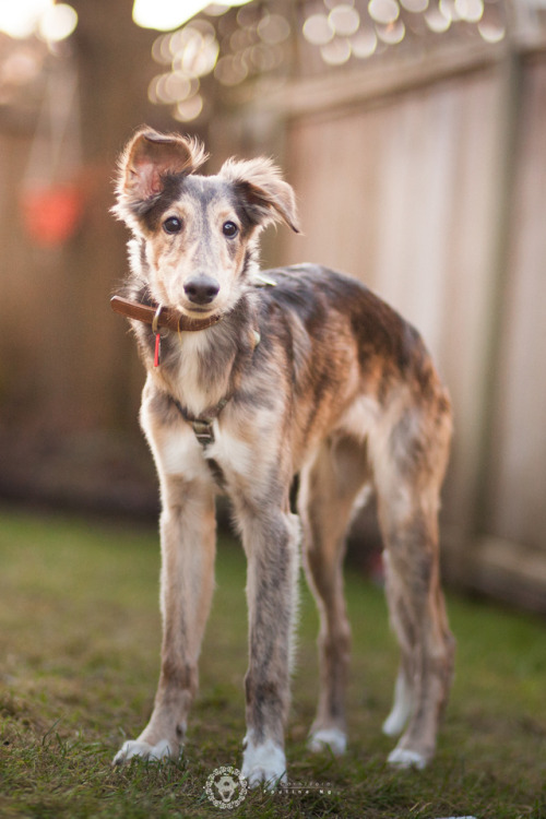 Socially Awkward He Has Big Ears