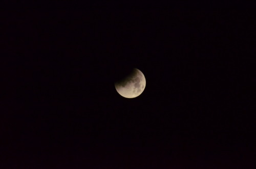 morganathewitch: Own.Just a few random pictures from tonight’s moon shoot.