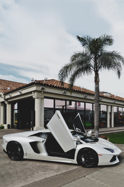 envyavenue:   Lamborghini Aventador LP700 