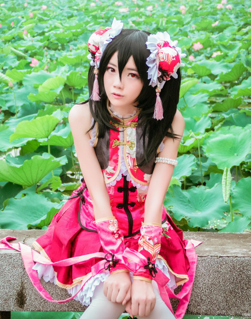 Nico yazawa