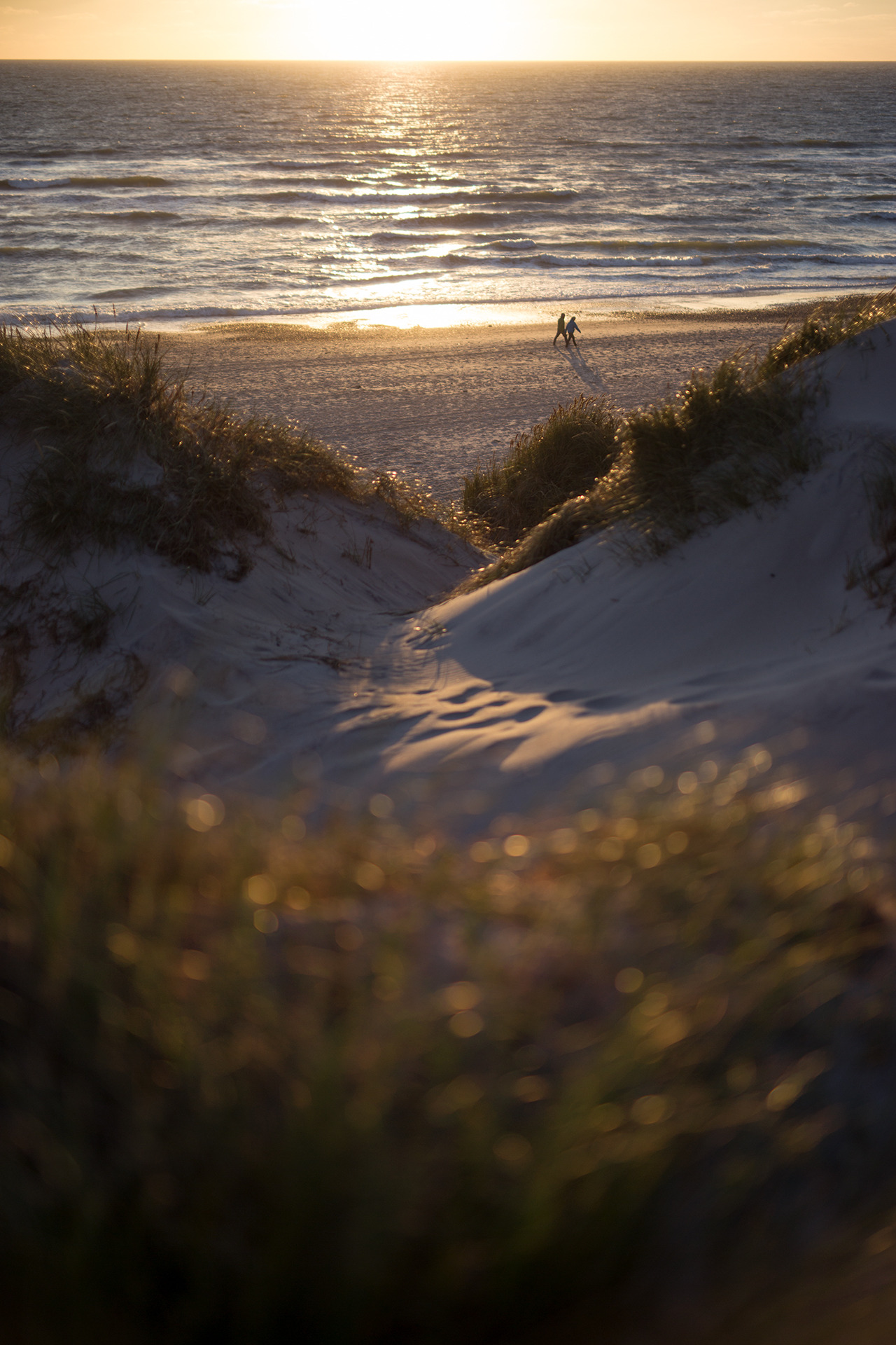 sboisevn:  Meet me here. S