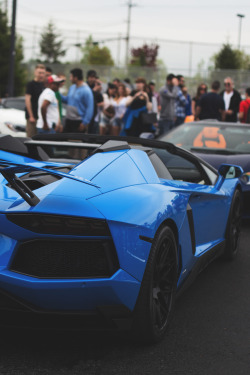 themanliness:    Blue Bull by   Anthony