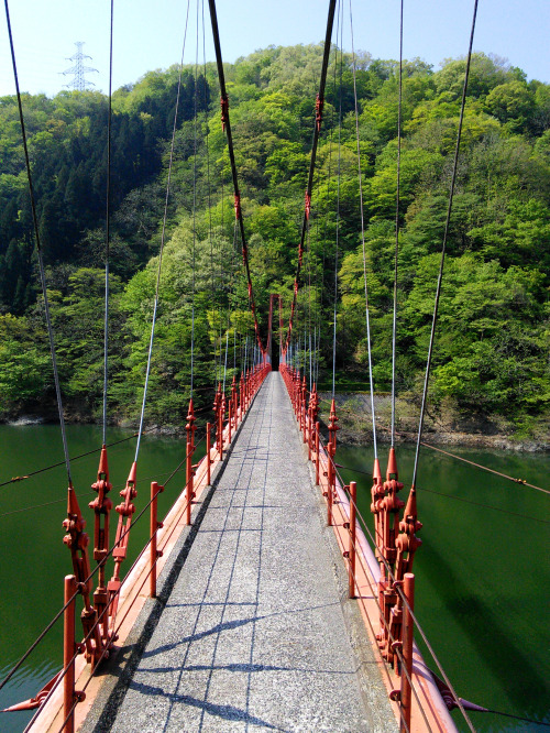 富士写ヶ岳（Mt.fujishagatake、標高941.9m）20150429福井県と石川県の県境にある富士写ヶ岳に登ってきました。山頂は石川県です。登山道は、枯淵コース、我谷コース、福井の丸岡から