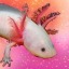 endedworlds