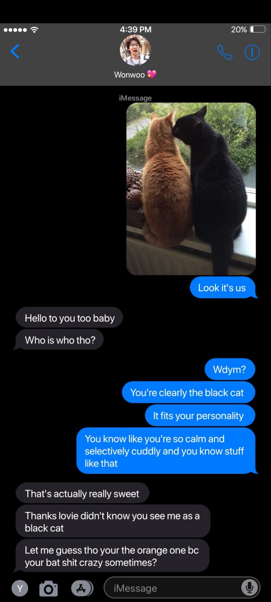 A Text Conversation With Your Bf!Wonwoo