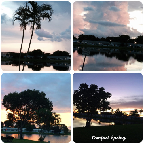 Florida Sunset Again 