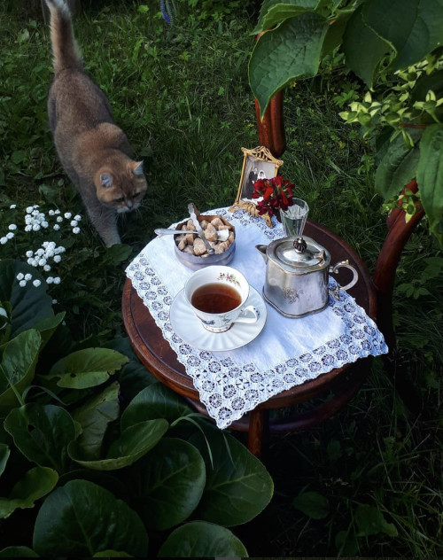 annedebretagneduchesseensabots:Tea for OnePhoto by Maria Apal'kova 