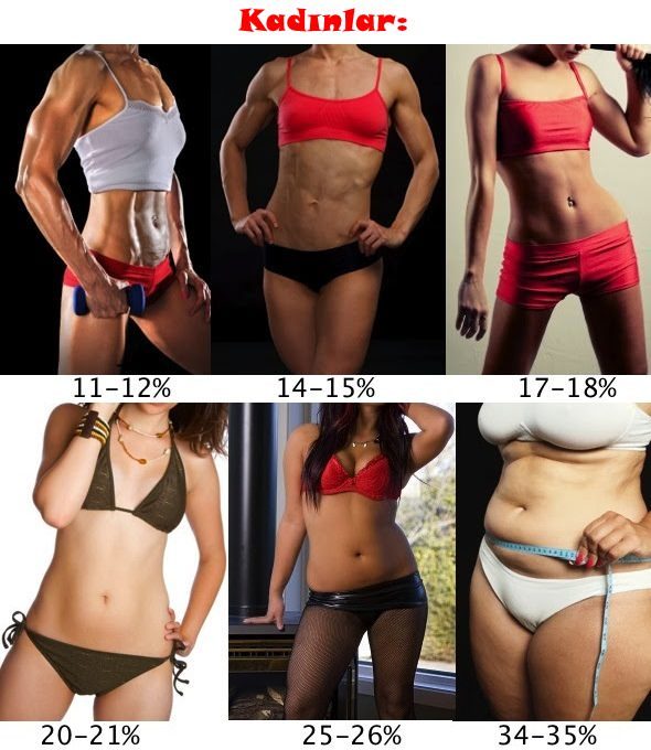 Body fat percentage women