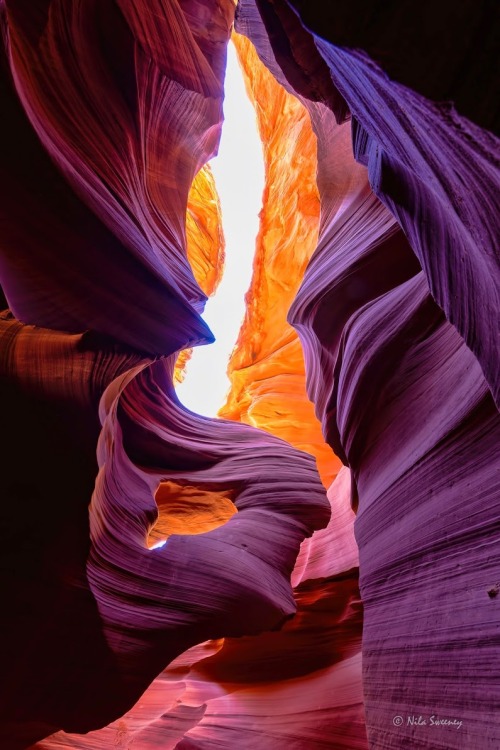 Hidden in a state known for miles of desert and cactuses, the incredibly stunning Antelope Canyon is