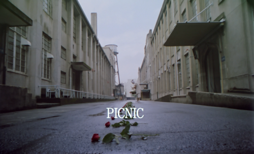 artfilmfan:Picnic (Shunji Iwai, 1996)