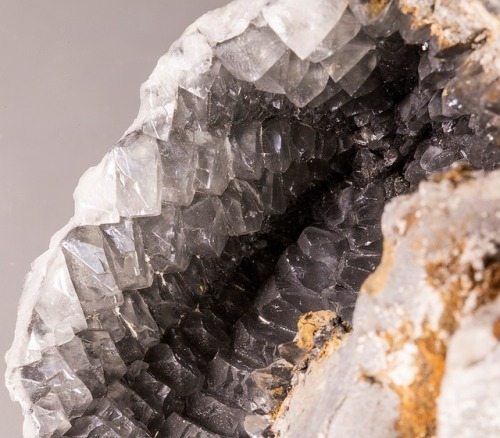 bijoux-et-mineraux:Calcite in a Sea Urchin Fossil - Calais, Nord Pas de Calais, France