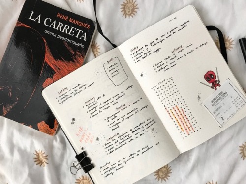 scienttia: [5/100 days of productivity] So i took the weekend off, but now i’m back! Here&rsqu