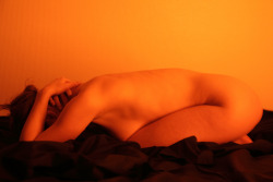 flobphoto:  Orange