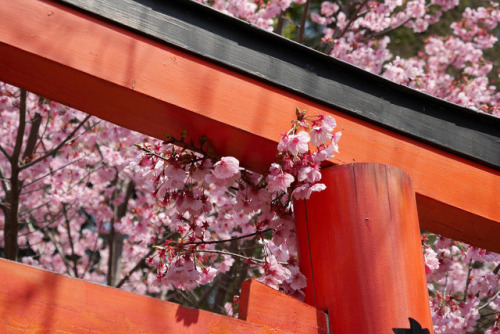 japan-overload: by  Nobuhiro Suhara