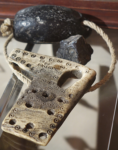 Viking related artefacts from the Yorkshire Museum, York, 27.8.16. Items include a carved weight, an